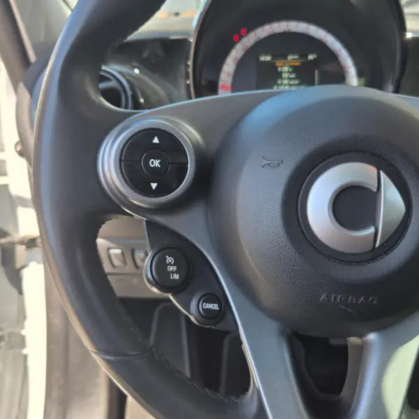 Smart ForFour EQ pulse 14