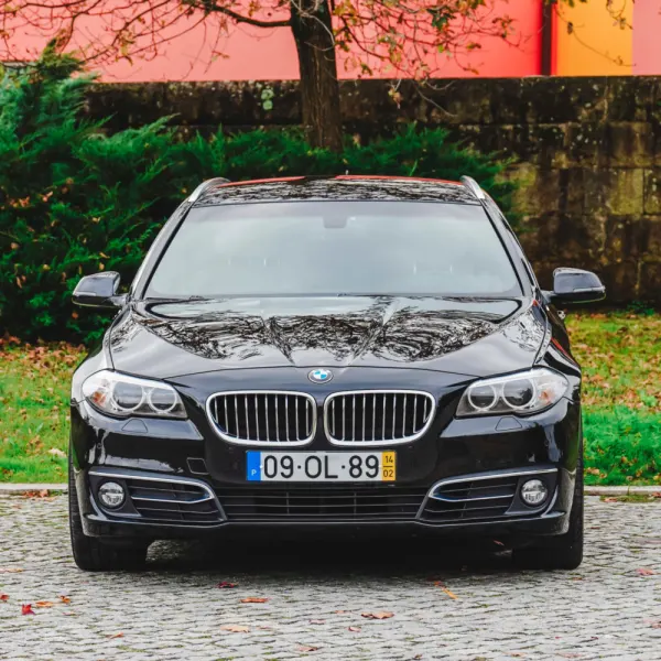 BMW 520 d Line Luxury 2