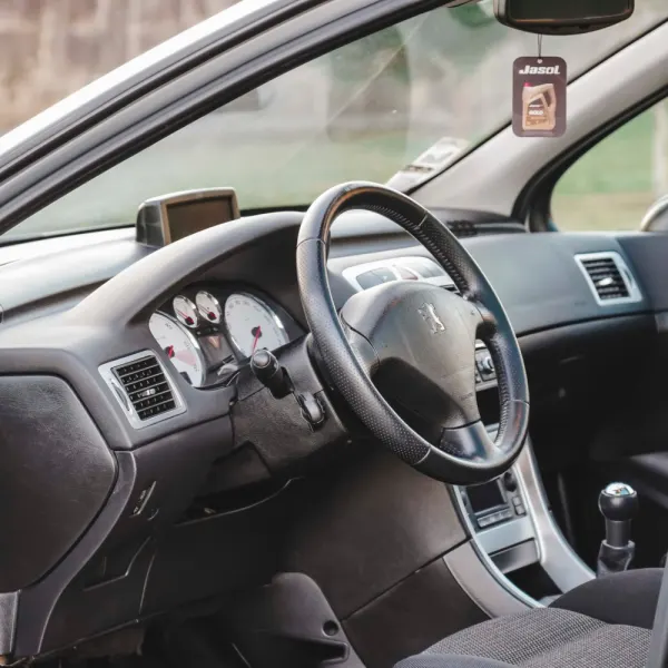 Peugeot 307 SW 1.6 HDi Black & Silver 12