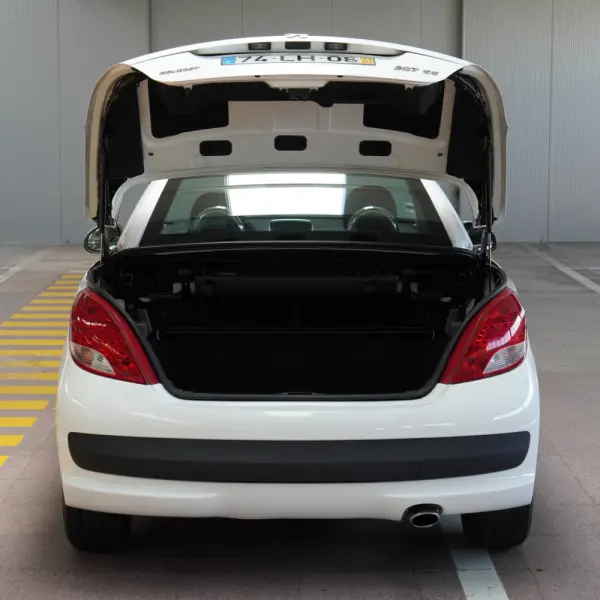 Peugeot 207 CC 1.6 SE 200 Anos 37