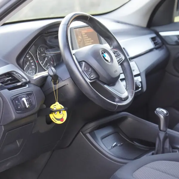 BMW X1 16 d sDrive 17