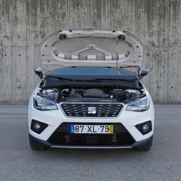 SEAT Arona 1.0 TSI Xcellence DSG 49