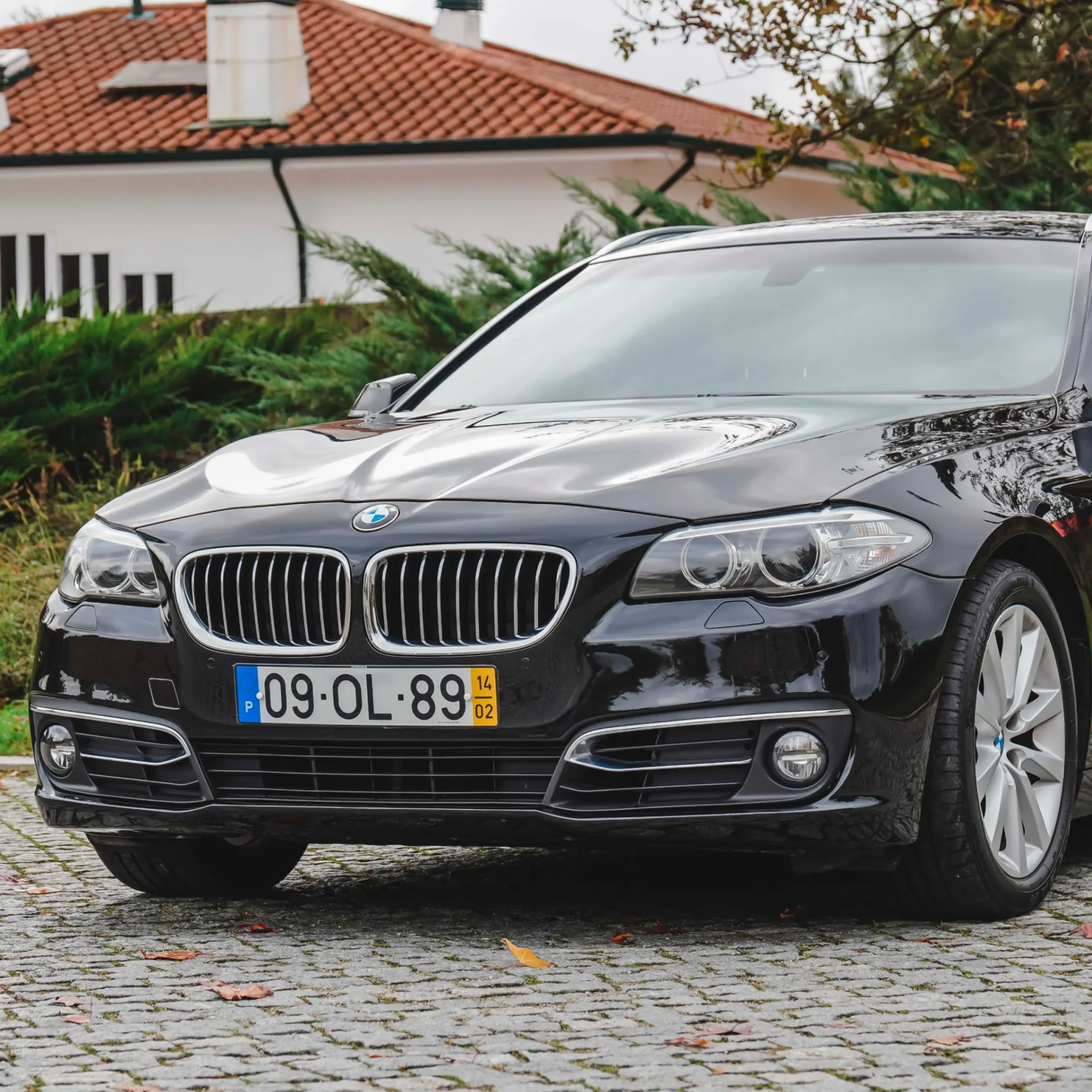 BMW 520 d Line Luxury 47