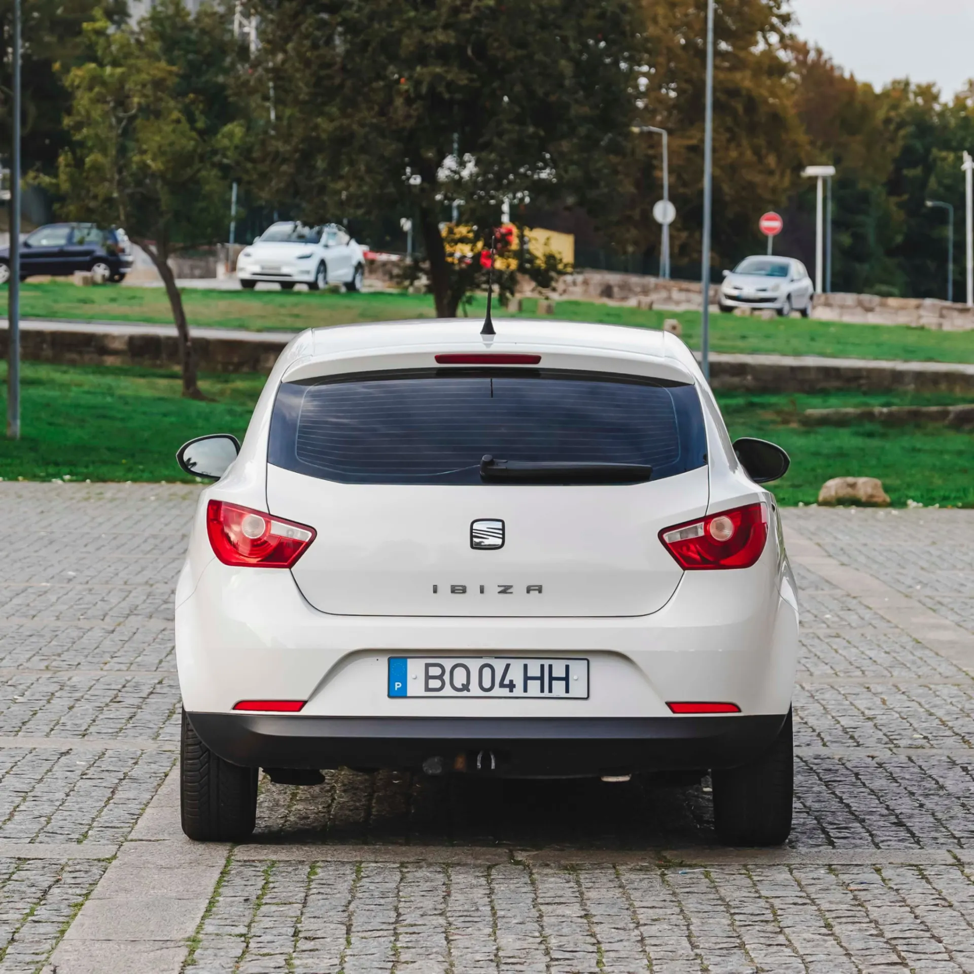 SEAT Ibiza 1.2 TDi Reference DPF 33