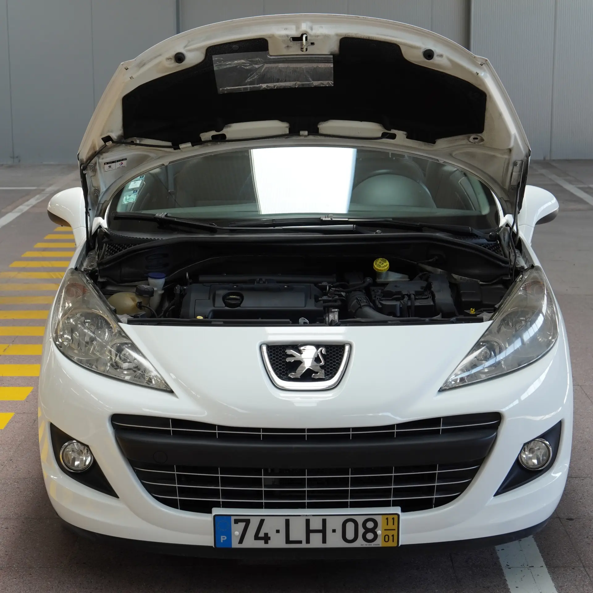 Peugeot 207 CC 1.6 SE 200 Anos 40