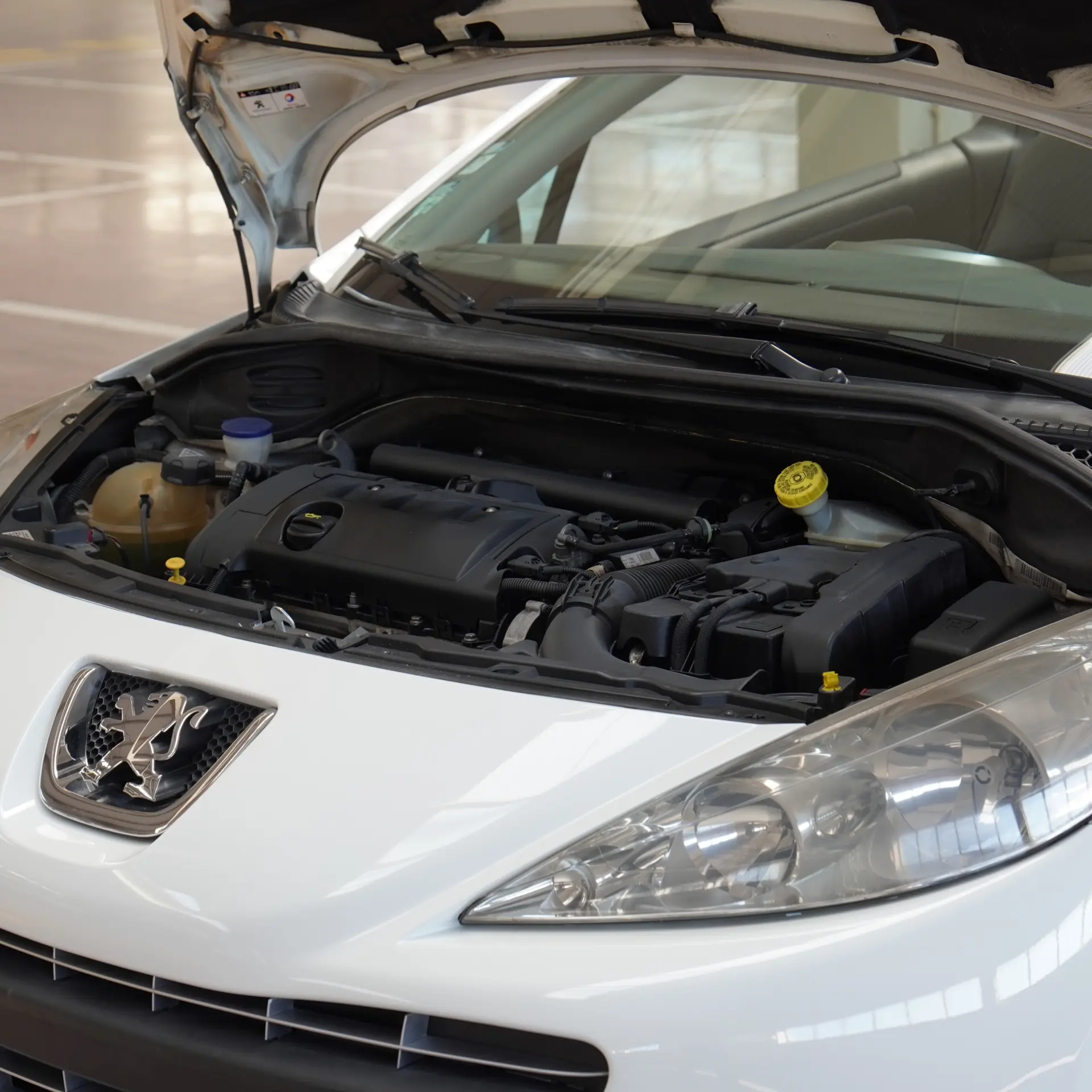 Peugeot 207 CC 1.6 SE 200 Anos 41
