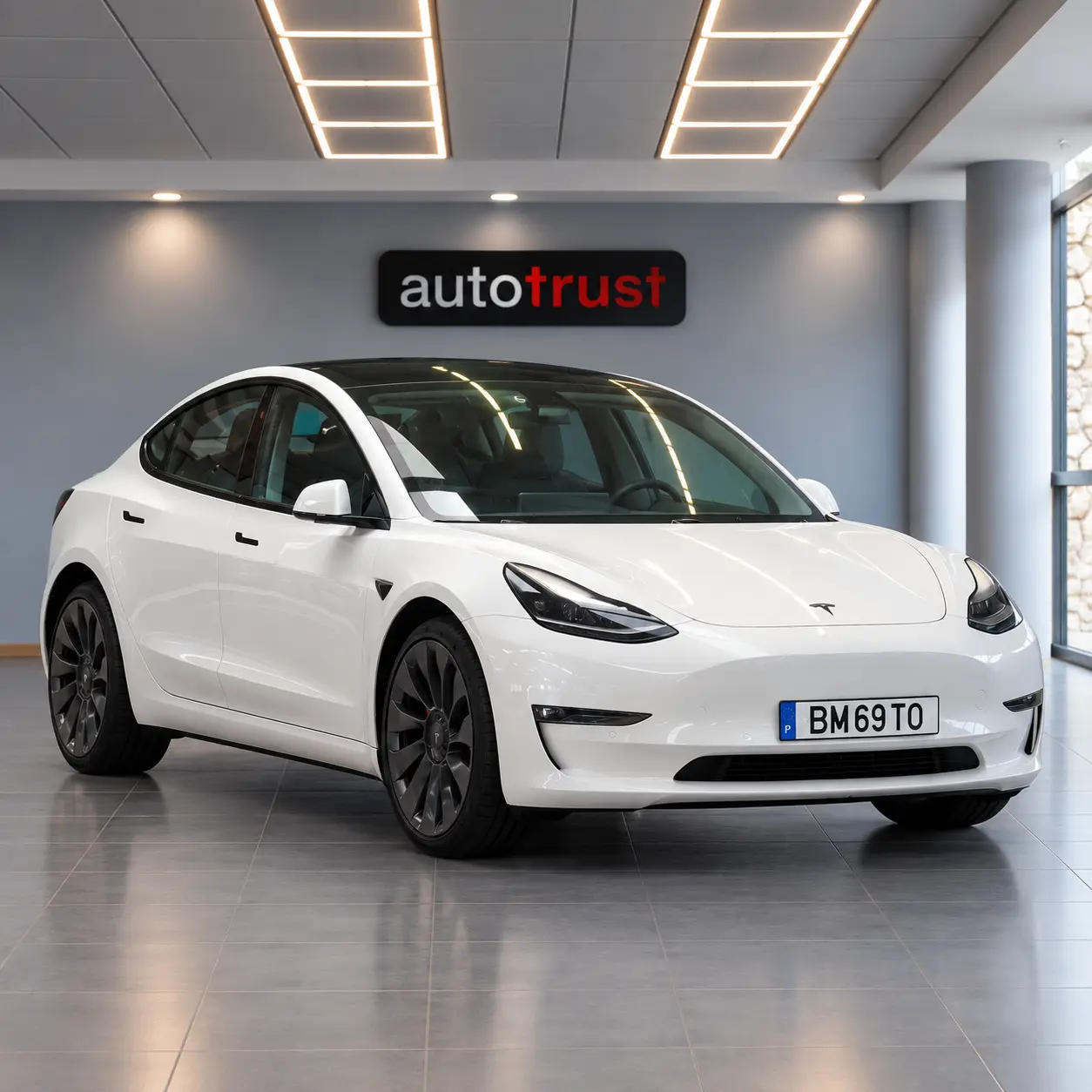 Tesla Model 3 Long Range AWD Dual Motor Performance 1