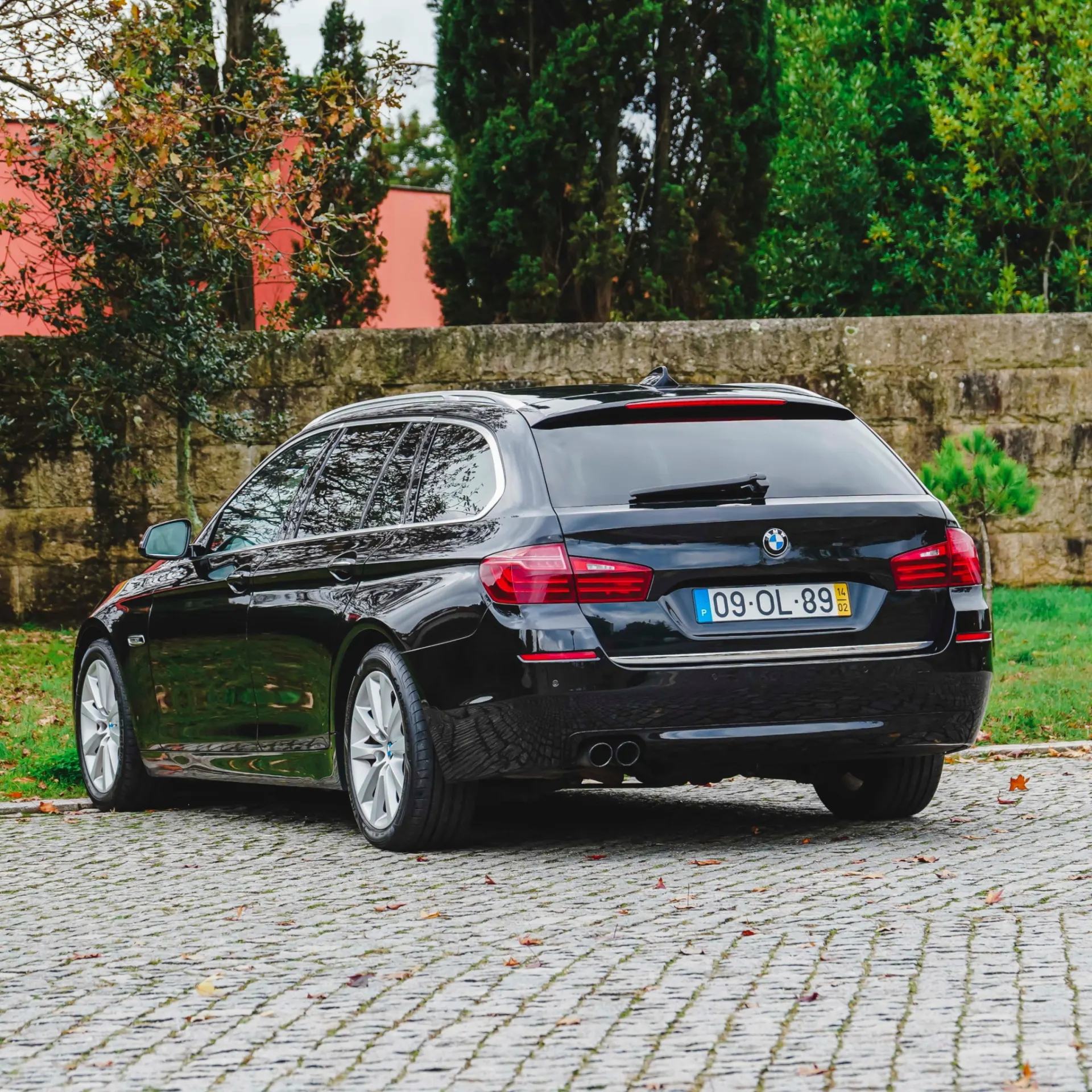 BMW 520 d Line Luxury 5