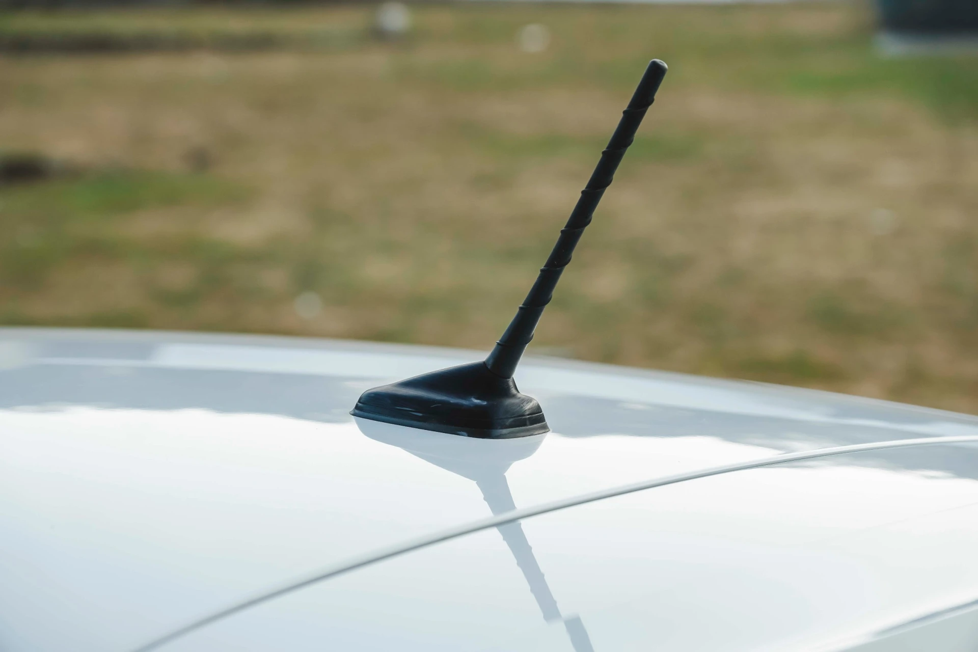 Volkswagen Polo 1.4 TDi Trendline 36