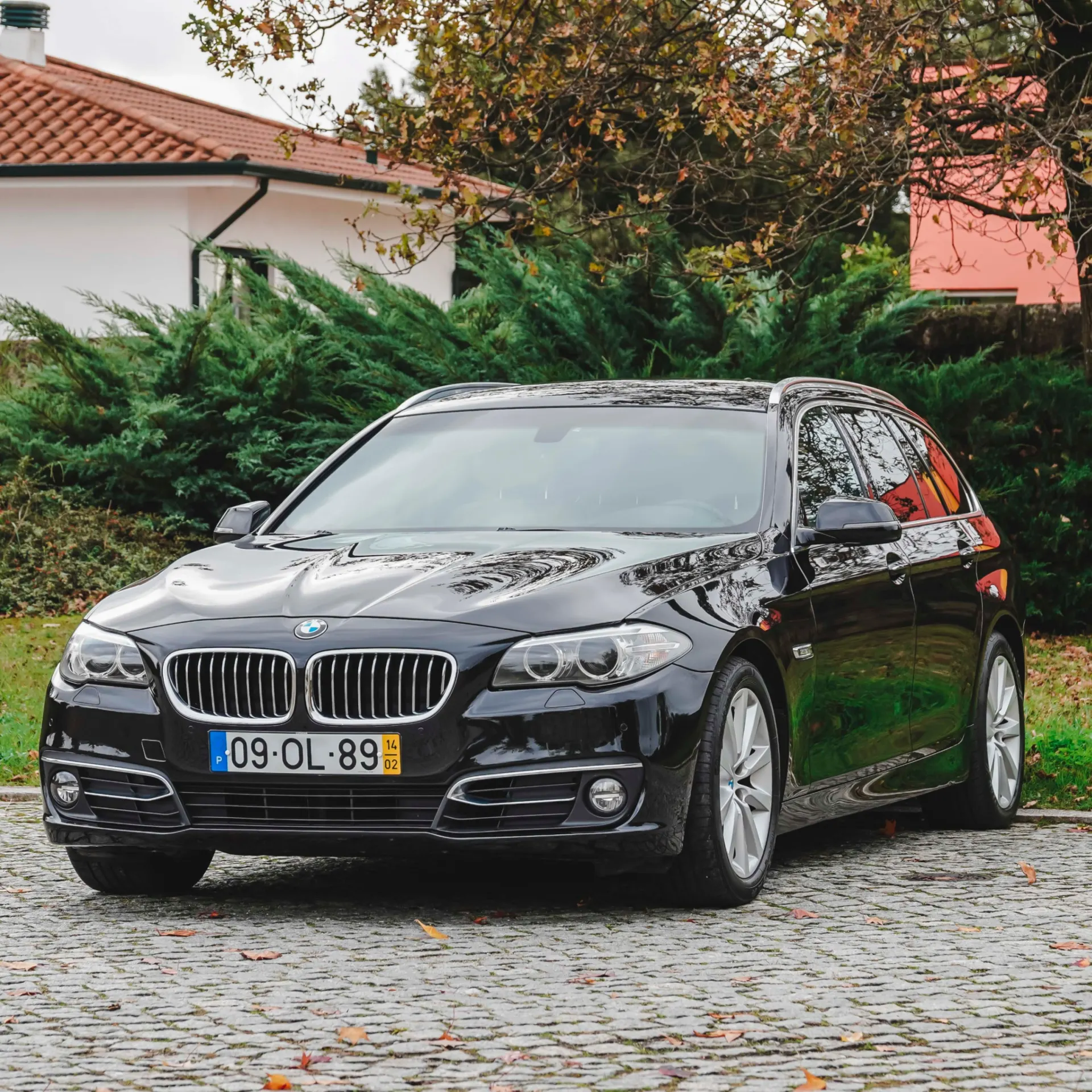 BMW 520 d Line Luxury 3