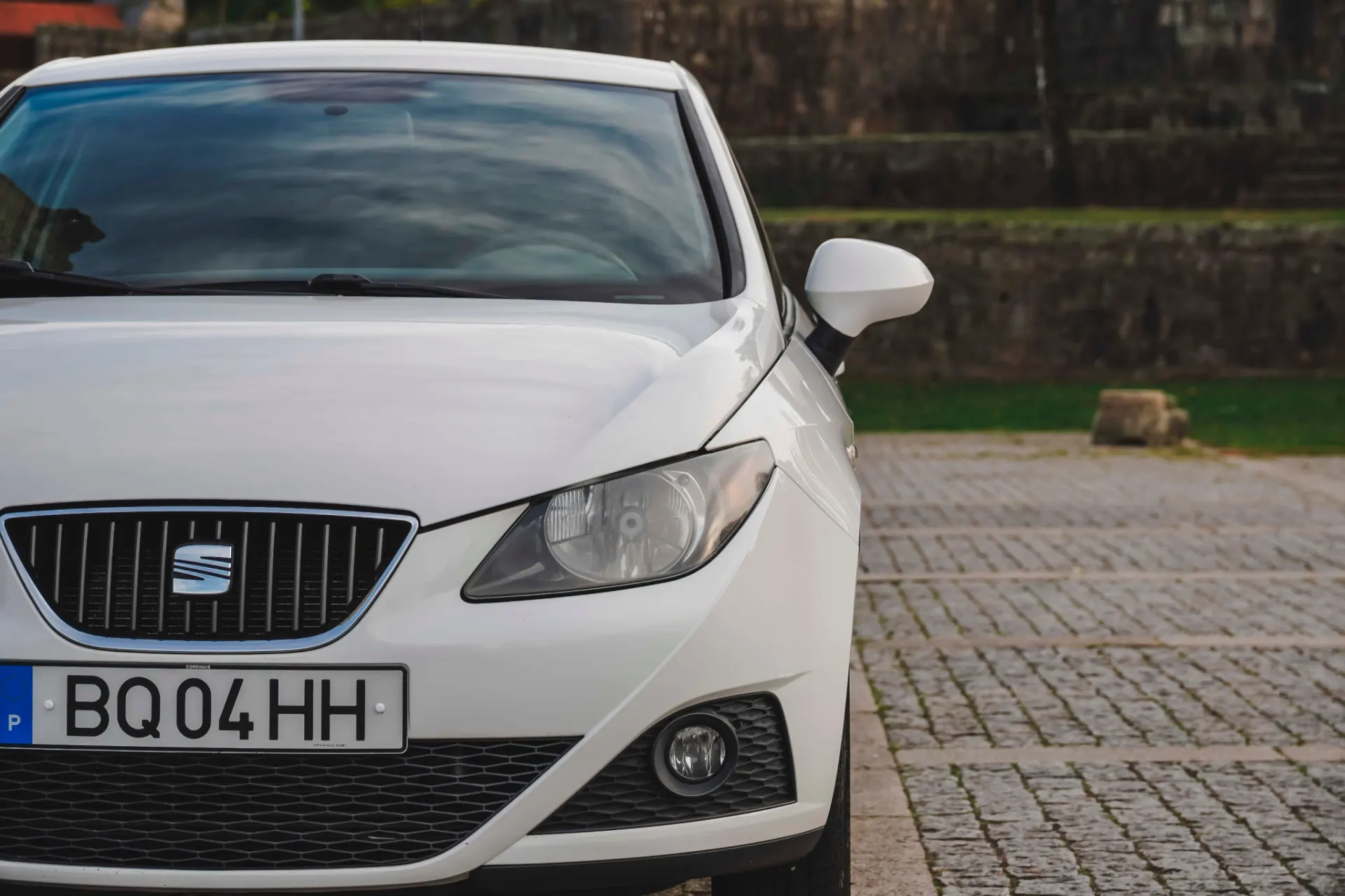 SEAT Ibiza 1.2 TDi Reference DPF 38