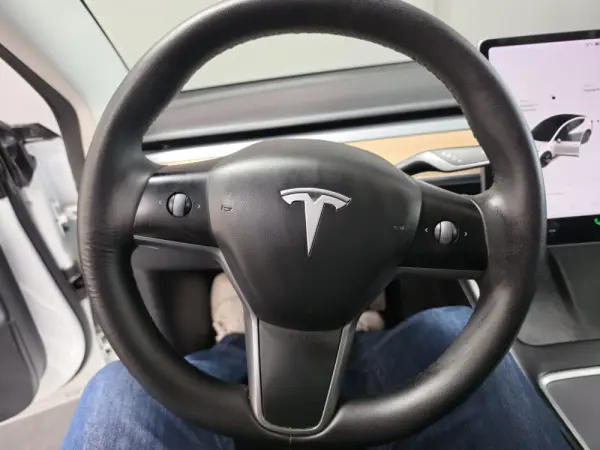 Tesla Model 3 Standard Range Plus RWD 27