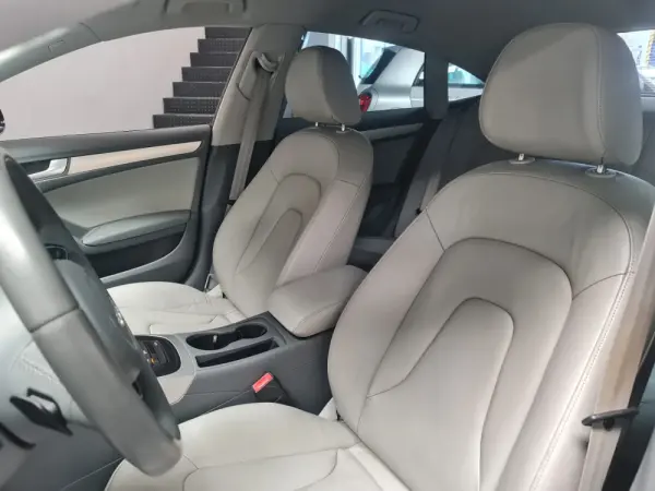 Audi A5 Sportback 2.0 TDI Multitronic Sport 19