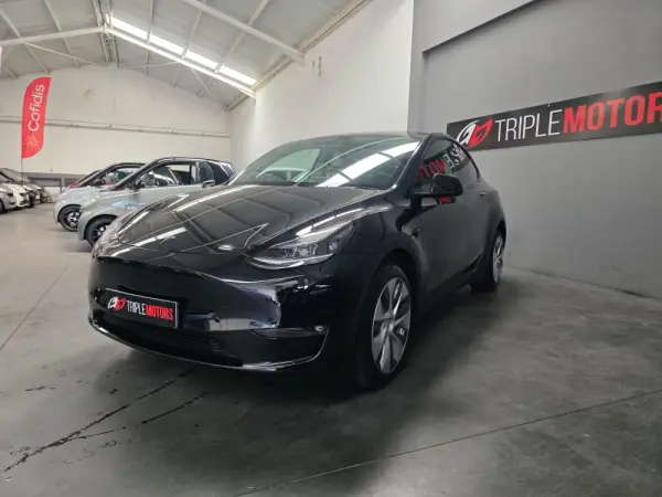 Tesla Model Y Long Range Dual Motor AWD 4