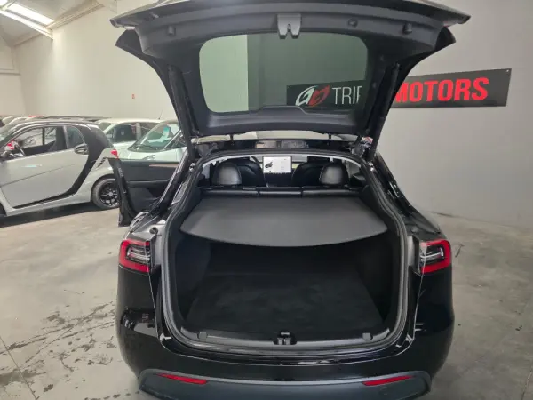 Tesla Model Y Long Range Dual Motor AWD 10