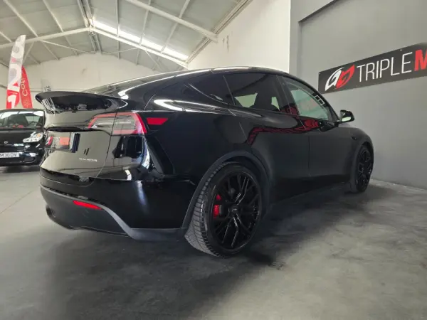 Tesla Model Y Performance Dual Motor AWD 20