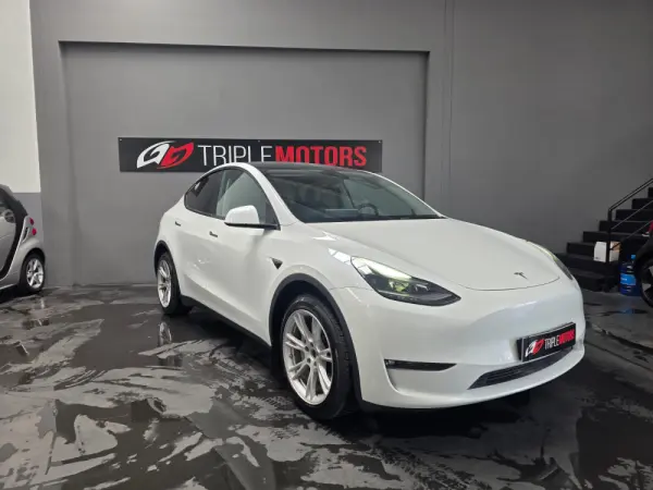 Tesla Model Y Long Range Dual Motor AWD 4