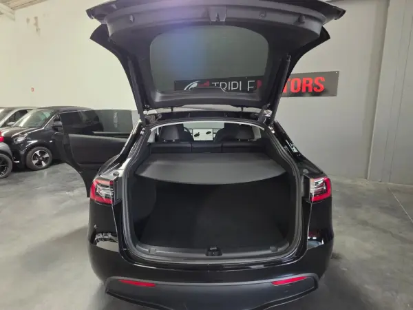 Tesla Model Y Performance Dual Motor AWD 9