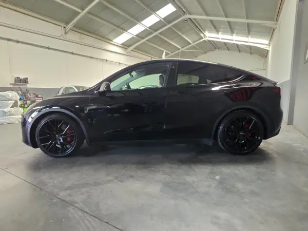 Tesla Model Y Performance Dual Motor AWD 15