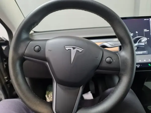 Tesla Model 3 Standard Range Plus RWD 10