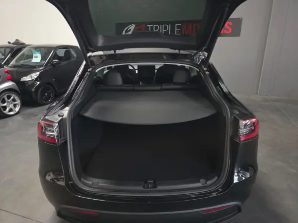 Tesla Model Y Long Range Dual Motor AWD 4