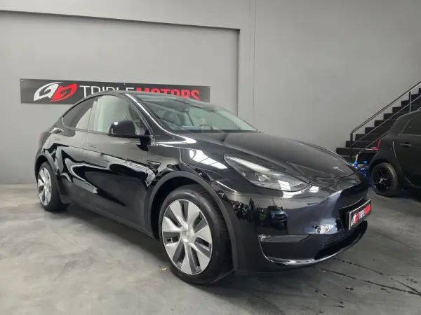 Tesla Model Y Long Range Dual Motor AWD 20