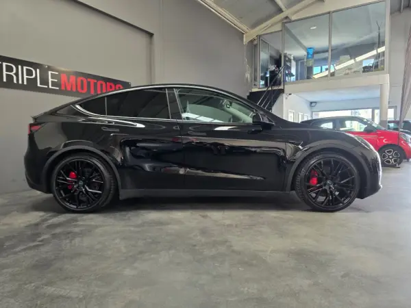 Tesla Model Y Performance Dual Motor AWD 25