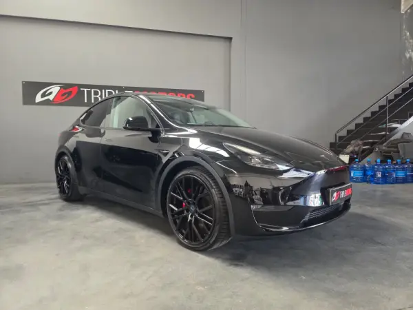 Tesla Model Y Performance Dual Motor AWD 1