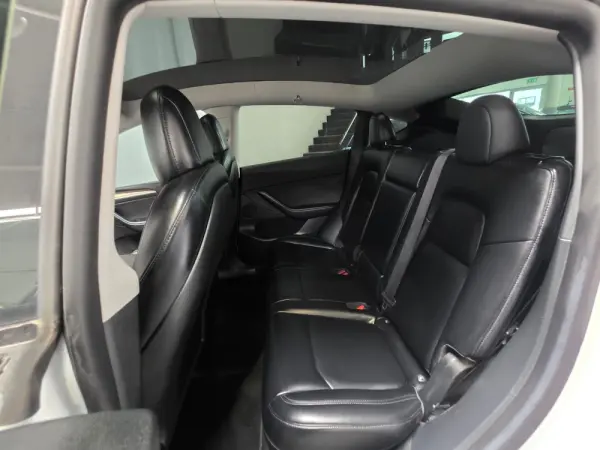 Tesla Model Y Long Range Dual Motor AWD 10