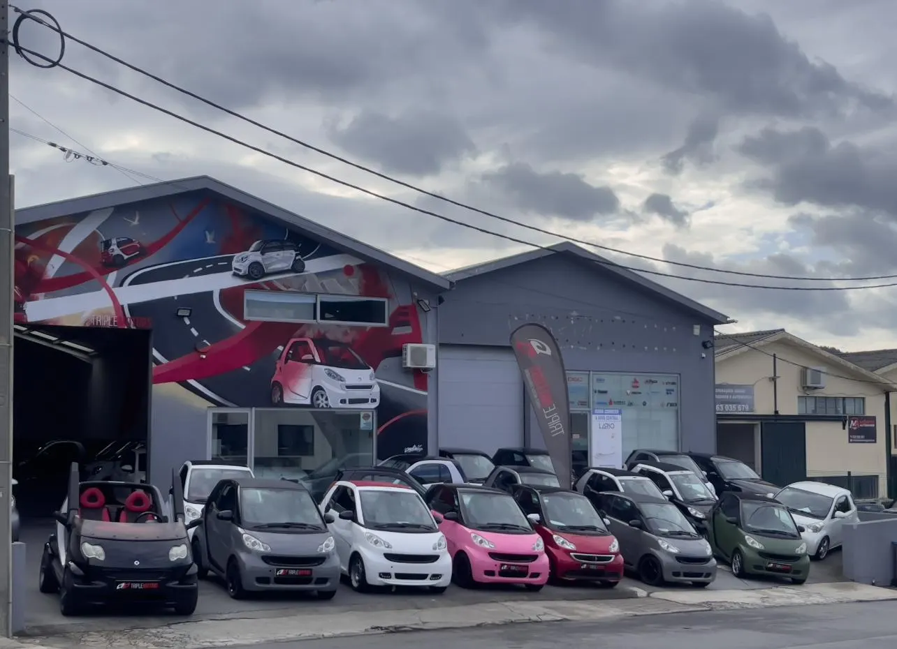 Smart ForTwo Coupé 0.8 cdi Passion 54 Softouch 18