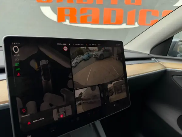 Tesla Model Y Long Range Tração Integral 9
