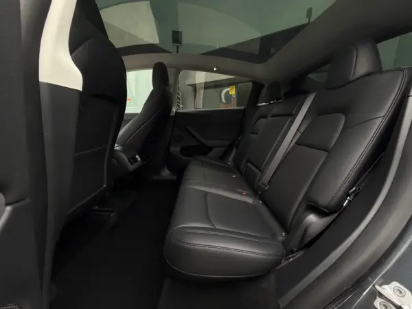 Tesla Model Y Long Range Tração Integral 15