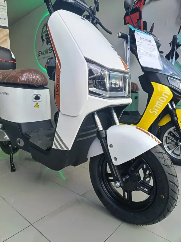 Ecooter M1 250W 4