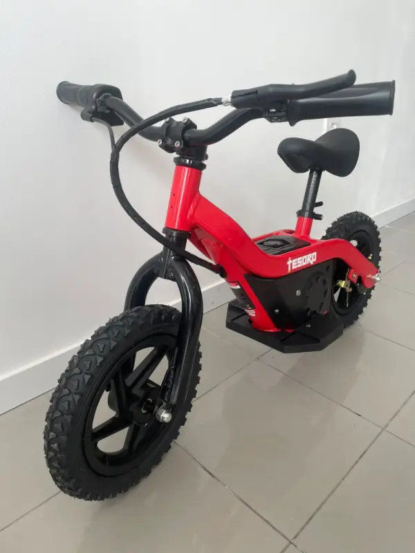 Tesoro BICICLETA EQUILÍBRIO BB1-C 100W NOVO 2