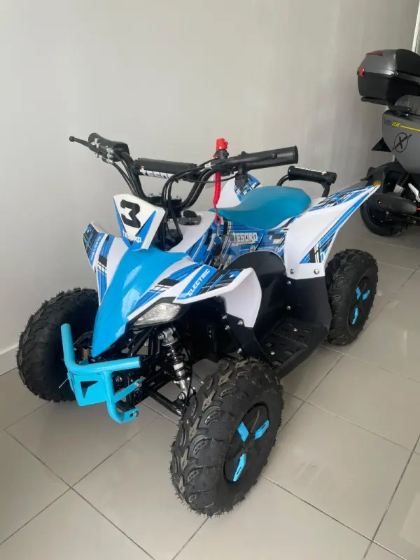 Tesoro MINI MOTO4 500ZY 1000W NOVO 2