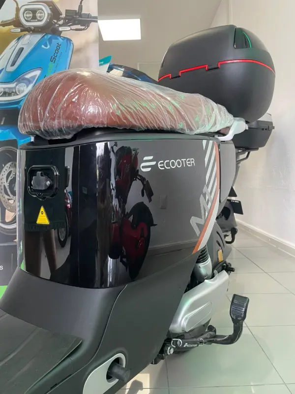Ecooter M1 250W 3