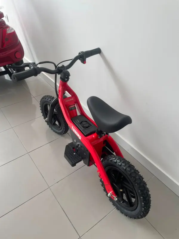 Tesoro BICICLETA EQUILÍBRIO BB1-C 100W NOVO 3