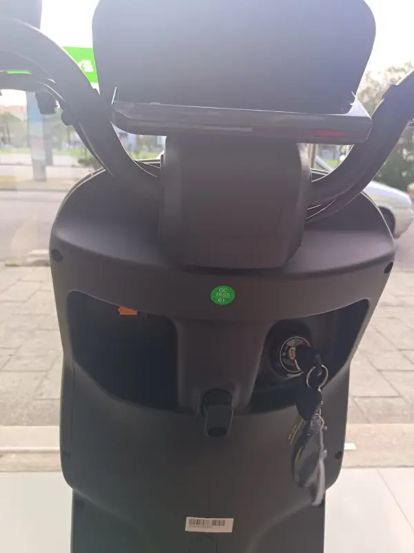 Ecooter M1 250W 3