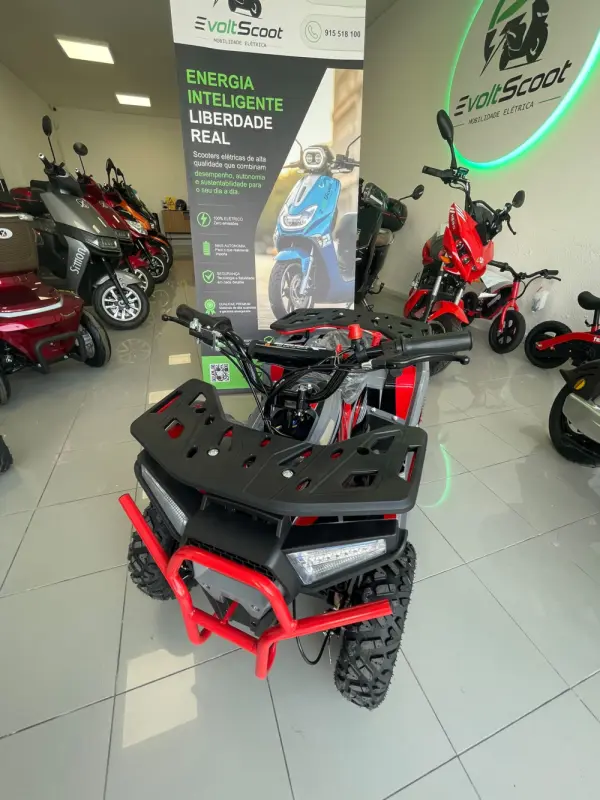 Tesoro MINI MOTO4 500V 500W NOVO 4