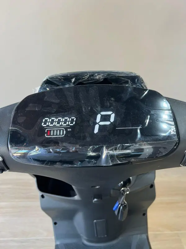 Raider Scooty 250 6