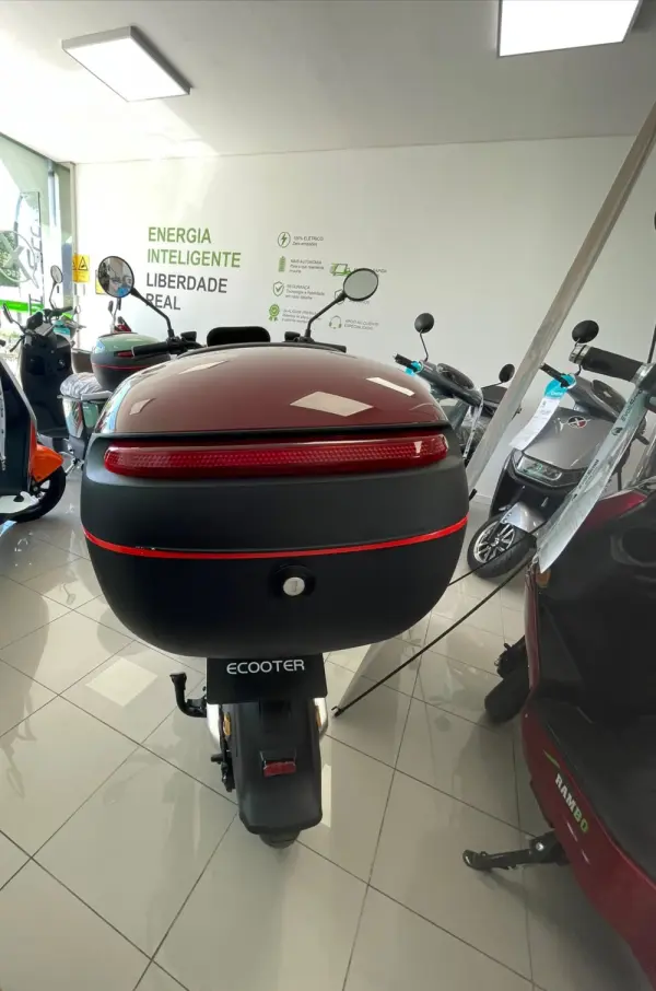 Ecooter M1 250W NOVO 5