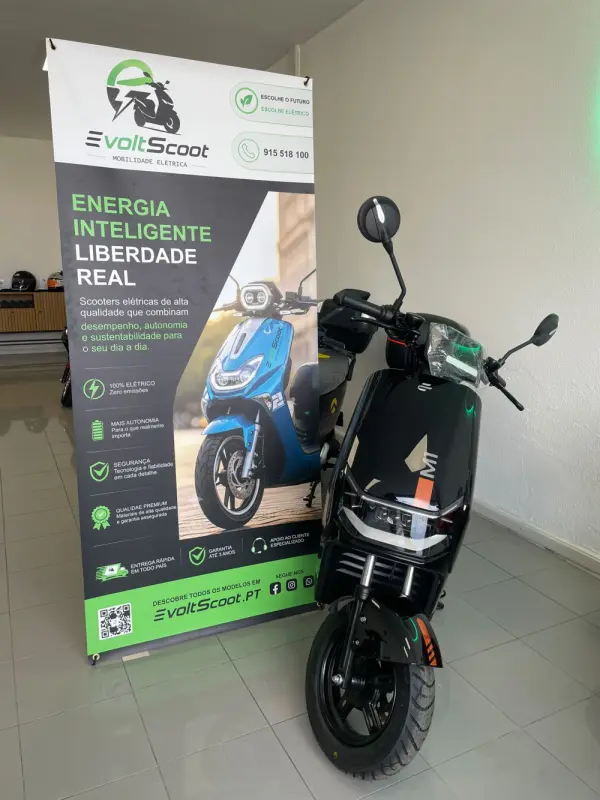 Ecooter M1 250W 4