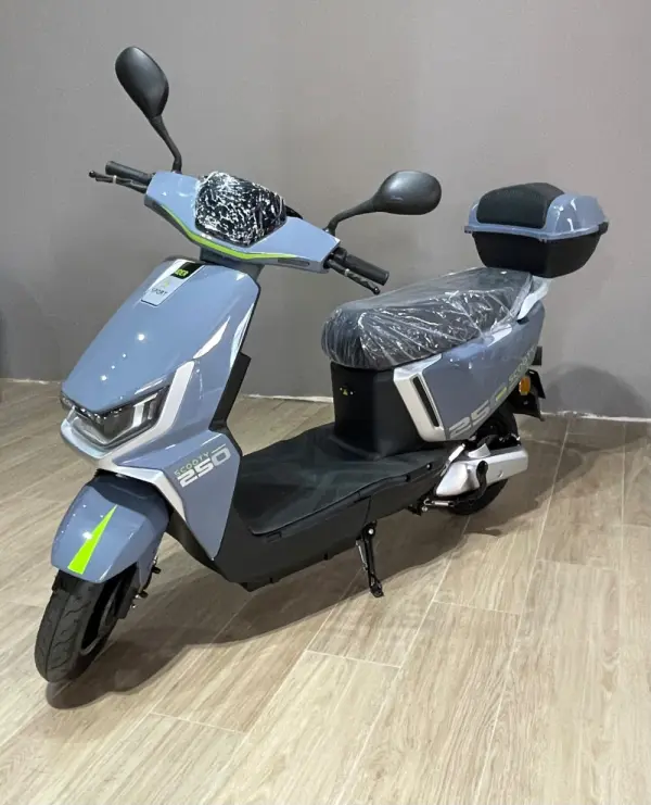Raider Scooty 250 1
