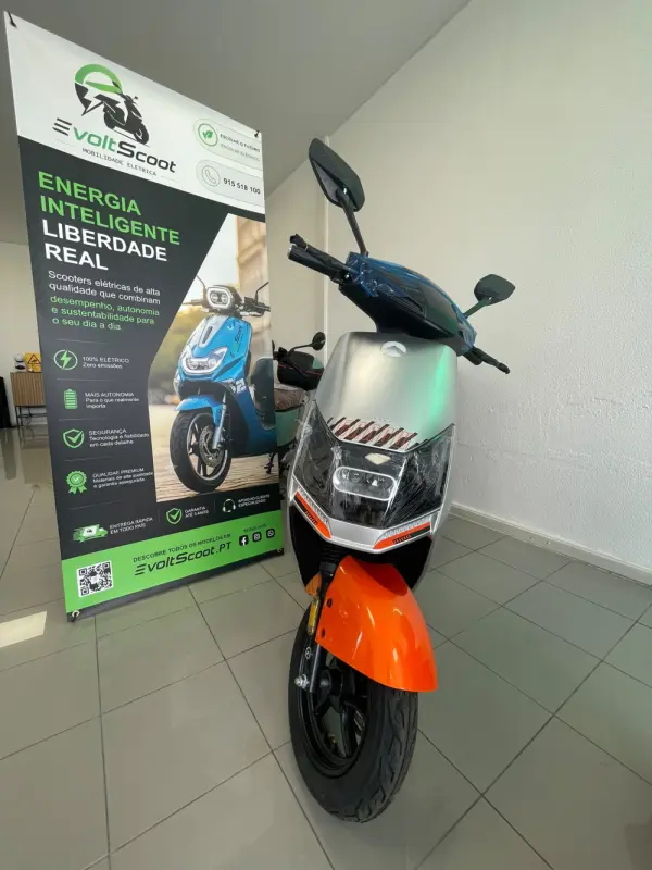 Garow TZ100 250W NOVO 3