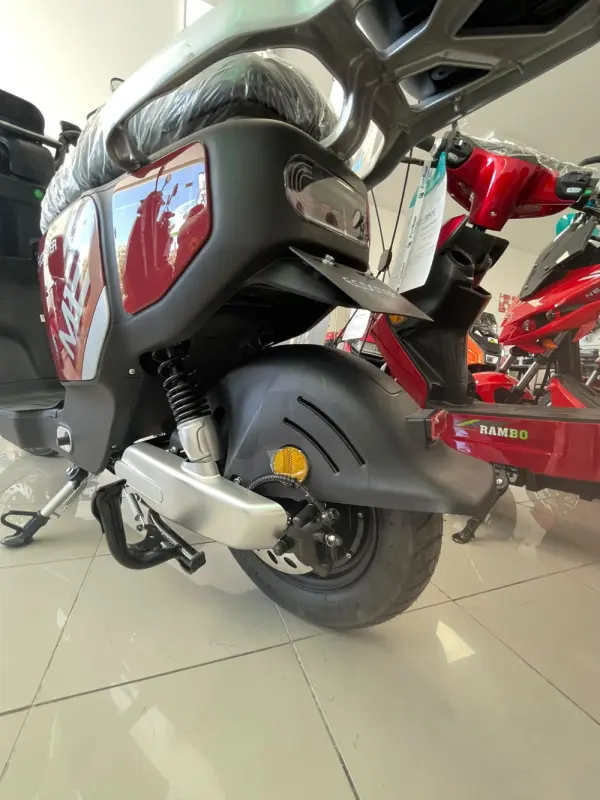 Ecooter M1 250W NOVO 4