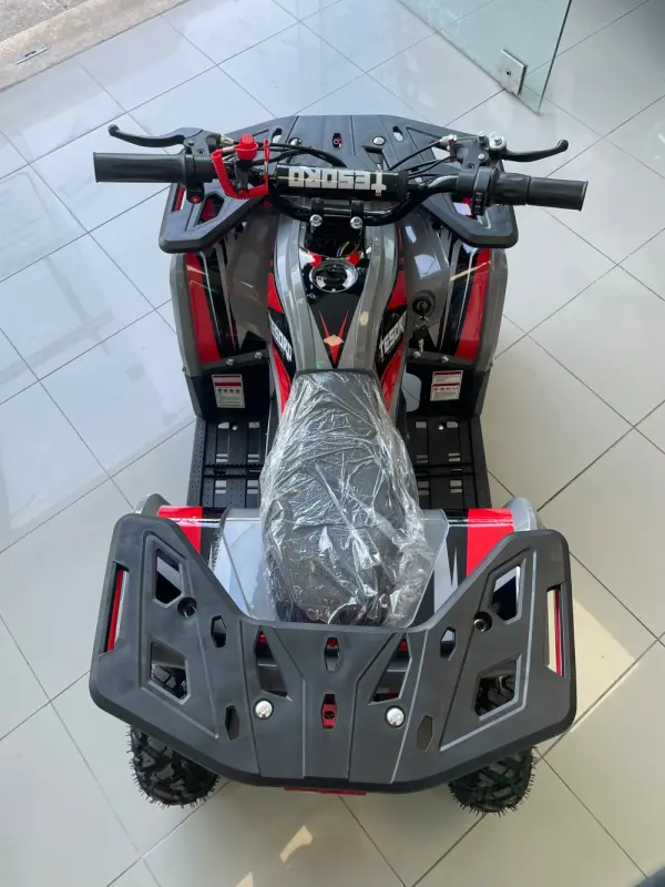 Tesoro MINI MOTO4 500V 500W NOVO 3