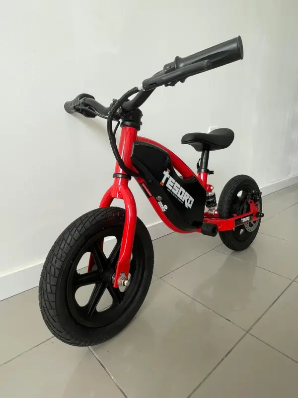 Tesoro BICICLETA EQUILÍBRIO BB1-C 100W 2