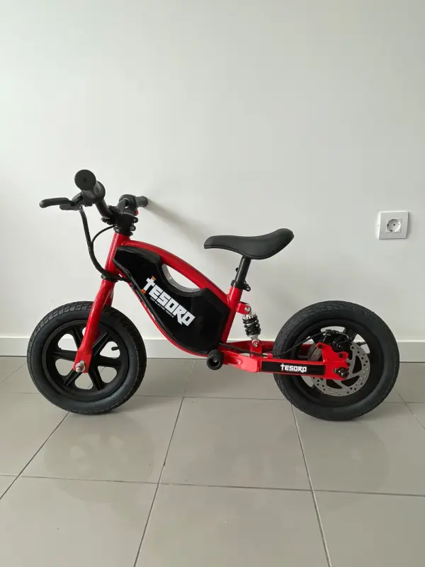 Tesoro BICICLETA EQUILÍBRIO BB1-C 100W 1