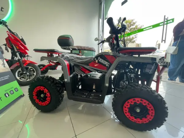 Tesoro MINI MOTO4 500V 500W NOVO 2