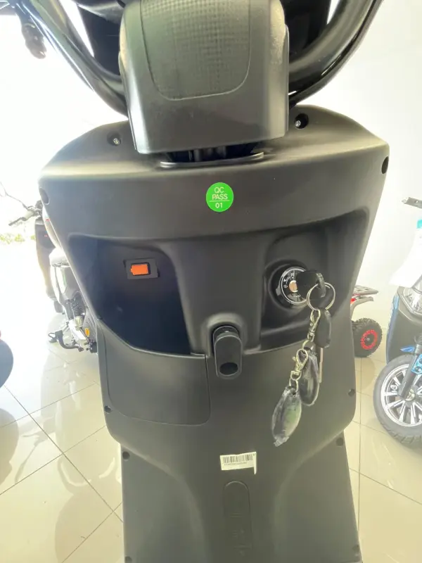 Ecooter M1 250W NOVO 3